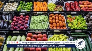 أسعار الخضروات اليوم.. تقلبات أسواق المنيا الإثنين 8 ديسمبر 2025